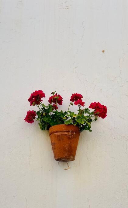 Couples Only, Beautiful 1 Bedroom Apartment In Victoria Building Mojacar Exterior photo
